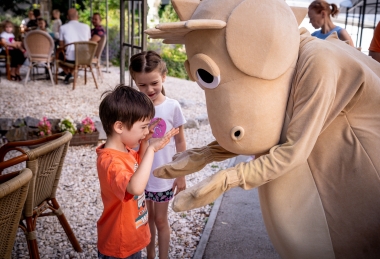 2 nights offer with half board Oxigén Family Hotel