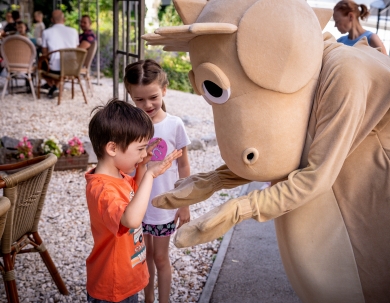 2 nights offer with half board